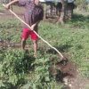 Donaciones para la Aldea Guaporaity